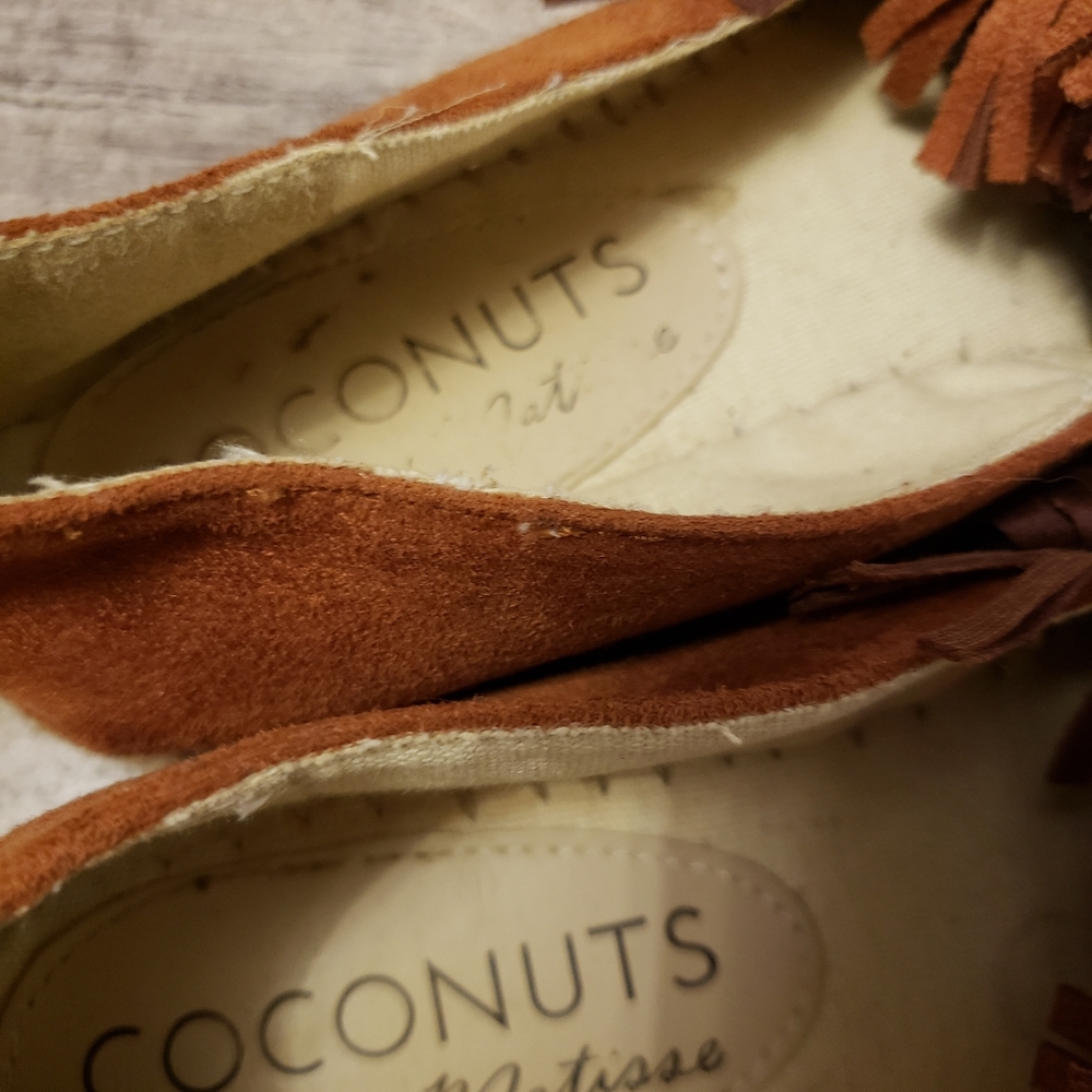 🍍🥥 CUTE Coconuts 😁 - Picture 8 of 8